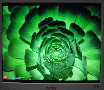 3999元,BenQ FP751 17英寸液晶显示器